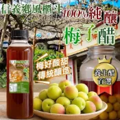 現貨 信義鄉風櫃斗梅子醋