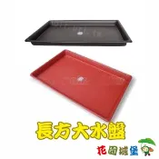 【花園城堡】長方大水盤69x46cm（忠興台灣製）腰水 浸泡 泡盆 整理盤 儲水盤 水盤 端盤 大花盆 花槽用 菜槽