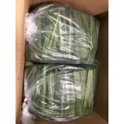 無農藥袋裝的剪切新鮮牧草狼尾草可以打成牧草汁可剪切每100g，天竺鼠兔子梅花鹿的最愛