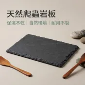 天然爬蟲岩板【24H出貨】天然岩板 岩板 石板 磨指甲 保溫保濕 食盆 造景裝飾 陸龜 爬蟲 兩棲 守宮 陸龜岩板 龜板