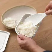 小久保 附隔板冷凍飯保鮮盒2入組 現貨 隔夜飯 日本製造