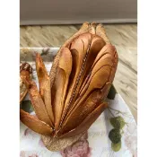 玩種子-桃花心木、翅果-20片/25元，果莢、內層及中心