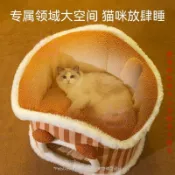 【寵物推車】貓窩四季通用半封閉式可拆洗網紅貓屋貓咪牀狗窩寵物冬天冬季保暖