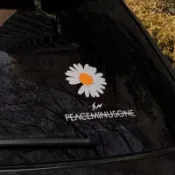 🆕💙權志龍小雛菊個性創意汽車貼紙藤原浩潮流改裝車身貼摩托車貼紙