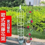 歐式庭院 爬藤架 陽臺 綠植支架 可拚接 多層飄香藤薔薇花架子室內家用  75QC