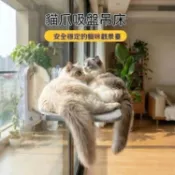 【免鑽孔強力吸盤】吸盤貓吊床 窗戶貓窩 可折疊 玻璃貓床 懸掛式 貓咪曬太陽 貓墊 貓抓板 寵物用品