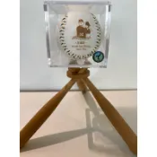 中華職棒 台鋼雄鷹 王溢正 首年加盟紀念球 Lamigo桃猿 樂天桃猿（附框）