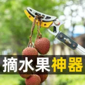 和購大賣場 【高空摘果神器】伸縮杆 摘果器 高枝剪 採果剪刀 水果剪刀 荔枝剪 龍眼剪 楊梅剪 伸縮鋁桿 輕鬆採摘 免爬樹 園藝工具 果園必備
