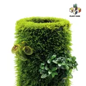 🎈熱銷爆款 樹形培養基 附生植物 蘭花苔蘚陶裏瓶 蕨類 辦公室 桌麵微景觀 綠植悶養 