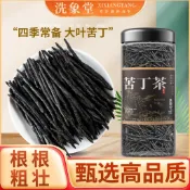 ✅️台內出貨✅️ 【洗象堂】苦丁茶特級一等品大葉苦丁茶海南苦丁新貨正品天然罐裝