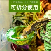 CM樹棲爬蟲活體防逃逸吸盤餵食器睫角變色龍食盆掛壁雙層星球ABS爬寵 飲水機小型 自動餵水器 兩棲爬蟲飲水器 寵物喝水