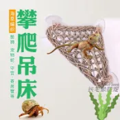 【天然海草】鸚鵡攀爬吊床 海草編織鳥吊床 鸚鵡攀爬網 鳥籠吊床 守宮寄居蟹爬網 玄鳳虎皮鳥類玩具