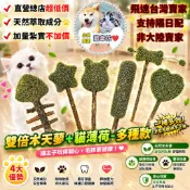 【CXF寵幸坊】貓薄荷木天蓼棒棒糖 多種款 貓咪磨牙玩具 貓草 貓草 磨牙 貓玩具 貓薄荷 貓草玩具 貓咪磨牙 貓草棒棒