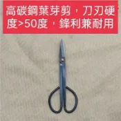  高碳鋼中號小枝葉芽剪(酈家匠)五葉松黑松真柏系魚川真柏羅漢松柃木千壽丸李氏櫻桃紅雞油