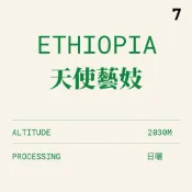 〔柒方生豆〕衣索比亞 耶加雪菲 天使藝妓 日曬 G1 咖啡生豆/熟豆