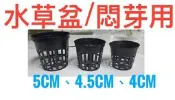 水草網盆 20入 水族/悶芽/悶根/苗圃/多肉 觀葉/蕨類植物用