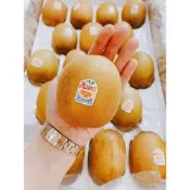 【帕查嬤嬤】紐西蘭Zespri 陽光金圓頭 黃金奇異果 9顆裝 ｜紐西蘭黃金奇異果
