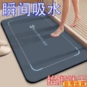 臺灣出貨✨免運 可開發票 加厚浴室吸水衛生間地墊地墊速防滑墊廁所洗手間腳墊