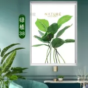 客製化 北歐綠植捲簾 防水捲簾 升降式捲簾 廚房捲簾 衛生間捲簾 免打孔捲簾 遮陽捲簾 遮光捲簾 客廳捲簾