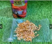 ［水族最便宜］乾燥蝦 高級黑殼蝦 龍魚飼料 花羅漢飼料 慈鯛飼料 海水魚飼料 烏龜飼料-10g散裝