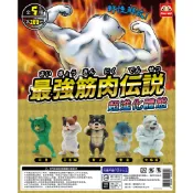 Katsu 扭蛋 轉蛋 最強筋肉傳說 河童 三色貓 柴犬 倉鼠 北極熊 肌肉 健美動物 SK JAPAN 爆肌動物