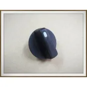 【帝益汽材】SCANIA 新凱 欣凱 113 114 大燈開關 大燈旋鈕《另有賣後照鏡、輔助鏡、雨刷片、彎角板、方向燈》