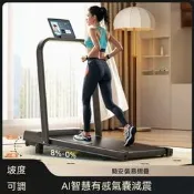 【PChome 24h購物】【優創】跑步機 家用跑步機 健走機 平板跑步機 電動跑步機 健身器材 運動器材220V送變壓器 121*50cm R99N