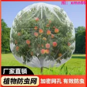 寶承齊百貨 果樹防蟲網罩防蟲網罩加厚蓮霧果樹防果蠅紗網櫻桃楊梅藍莓蓮霧農