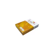 (店+)【PAPERLINE】Paperline 金牌 Signature頂級多功能影印紙80磅 A4 500張/包(同 Double A 規格)