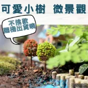 (店+)沐晨植物園｜仿真樹 仿真花 小球樹 模型樹 多肉裝飾 生態瓶配件 盆栽裝飾 微景觀配件 公仔 迷你園藝 微景觀