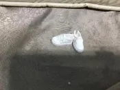 正版芭比高質感娃娃鞋～152