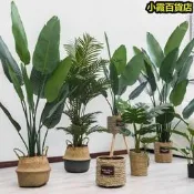 芭蕉仿真綠植旅人蕉擺件客廳裝飾假綠植龜背葉室內落擺設