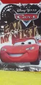 Disney 迪士尼 PIXAT 皮克斯 汽車總動員 特製版 悠遊卡 限量 絕版