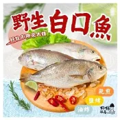 【好嬸水產】極鮮凍8號-三去春子白口魚660G/2隻