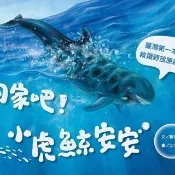 回家吧！小虎鯨安安：臺灣第一本鯨豚救援野放原創繪本