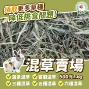 噗啾草坊🐹 混草賣場 客製混草 混合牧草 提摩西 一割 二割 甜燕麥 天竺鼠 兔子 龍貓 陸龜 天竺鼠主食 兔子主食