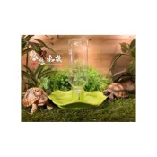 (店+)【YOYO 悠悠水族】悠悠兩棲爬蟲特寵店 幼龜自動補水盆 幼鳥學吃 鸚鵡水杯 兩棲爬蟲 盧丁雞 陸龜 赫曼 蘇卡達 豹龜 爬蟲器材專區
