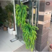🌴氧氣森林🌴仿真垂吊草球 懸掛裝飾 植物 藤蔓 盆栽 酒吧 餐廳 家居展廳 垂吊植物 吊頂裝飾 仿真植物 蕨類草球 蕨球