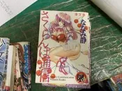無章釘漫畫書 二手成漫 櫻花通信 ななみ静 新視界 C198 成人漫畫書 限制級 色情漫畫 18禁 A漫H漫 94M