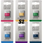 WINSOR&NEWTON Professional S2 法國製 溫莎牛頓 專家級塊狀水彩 專家級固體水彩