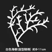 【A-ONE 匯旺】白色海樹 12片 - 小巧海貝 魚缸飾物 微景觀 生活裝飾小物 小綠藻球 小藻球 魚缸水草