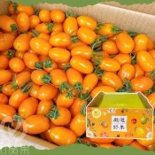 【初品果】高雄美濃達哥橙蜜香小番茄禮盒4斤x1盒(含箱重_送禮/禮盒/水果禮盒)