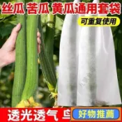🔥桃園出貨🔥瓜果網袋 無紡佈防蟲防鳥套袋 絲瓜套袋 苦瓜套袋 絲瓜防蟲套袋 栗子南瓜水蜜桃套袋 防蟲網袋 