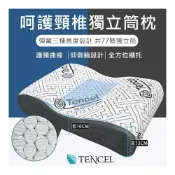 (店+)【紳娜多家居】SUD MIT專利設計 全方位呵護頸椎X天絲棉77顆獨立筒枕頭 一年保固(萊賽爾 頸椎枕 天絲棉枕頭 止鼾枕頭)