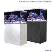 ♋ 秘境水族 ♋ 【RED SEA 紅海】套缸 90x53x50cm (REEFER 250) (白)