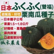 城禾農產🍃 日本雙福栗子南瓜種子 12粒 日本雙福栗子南瓜種子 日本栗子南瓜種子 栗子南瓜種子 南瓜種子 栗子南瓜種子