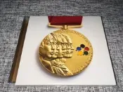 東京事變椎名林檎運動初回Sports日板初回，僅拆美品拍下前請仔細確認，受初部蛻部換