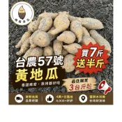 台農57號黃地瓜🍠｜番薯｜雲林水林鄉｜🎁 滿 $210 現折 $10｜買7斤就送半斤持續進行‼️｜總裁帝瓜🍠