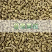 【現貨】🔜快速出貨🚚 苜蓿草粒 苜蓿粒 鼠兔主食 兔飼料 成兔飼料 成兔糧 兔子飼料 兔子主糧 兔子主食 天竺鼠飼料