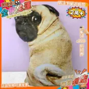 免運費🚀仿真沙皮狗抱枕靠墊毛絨玩具可愛小八哥犬公仔趴趴狗娃娃沙發裝飾BZ